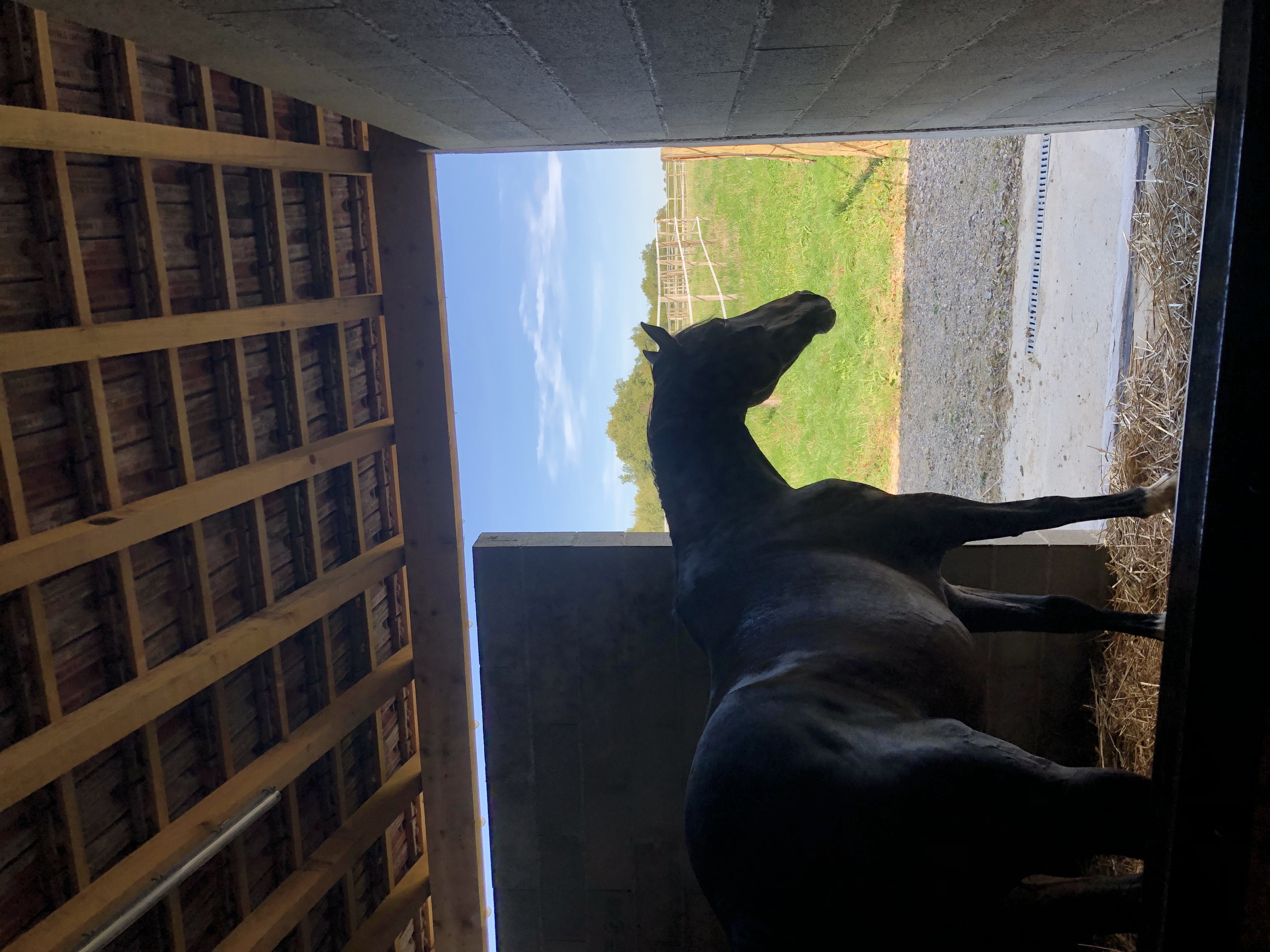 pension vacances abris paddock